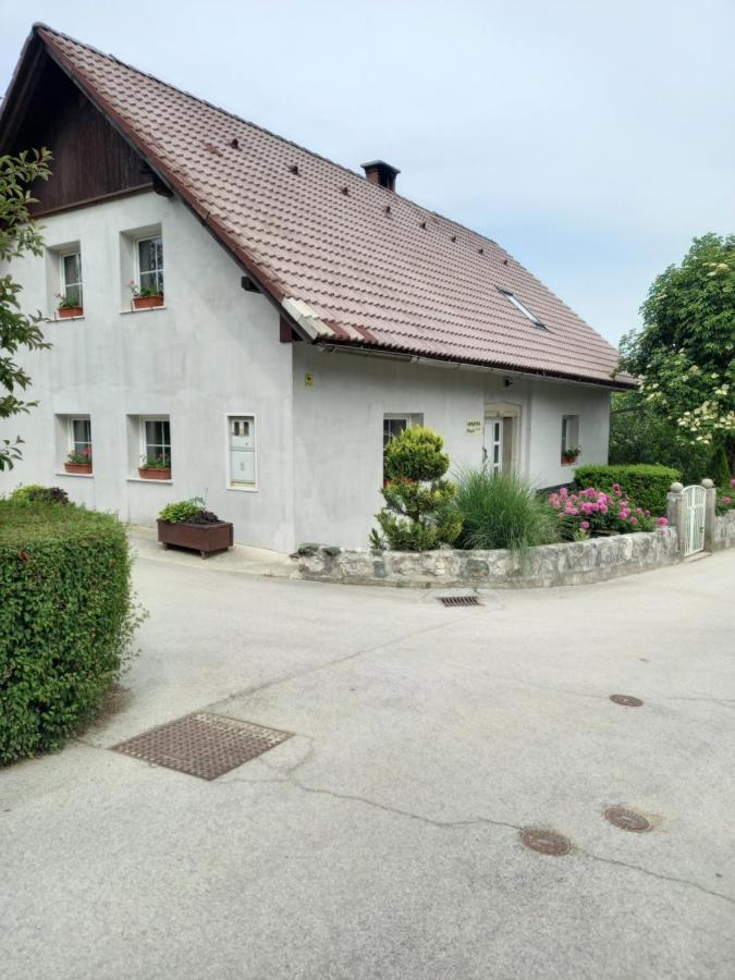 Apartmaji Magda Lejlighed Zgornje Gorje Eksteriør billede